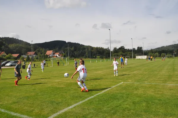 20.08.2016 SG SV Dietzhausen vs. FSV 04 Viernau