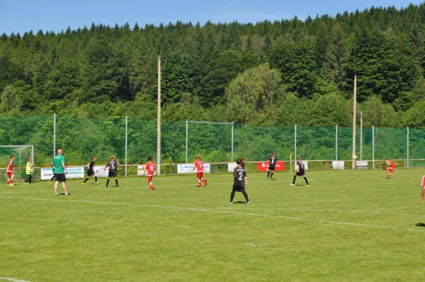 11.06.2017 FSV Goldlauter vs. FSV 04 Viernau