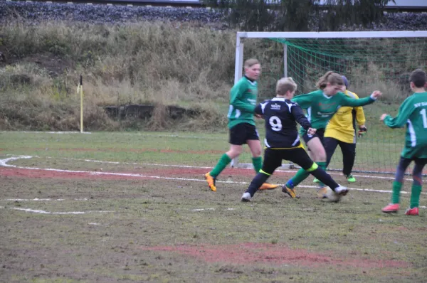 19.11.2016 SG Steinbach-Viernau vs. SV Sülzfeld