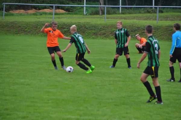 12.08.2017 PPSV Suhl vs. SG Steinbach-Viernau