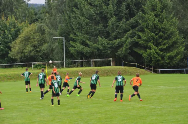 12.08.2017 PPSV Suhl vs. SG Steinbach-Viernau