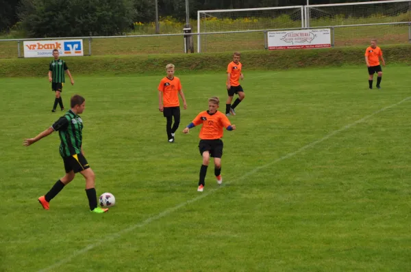 12.08.2017 PPSV Suhl vs. SG Steinbach-Viernau