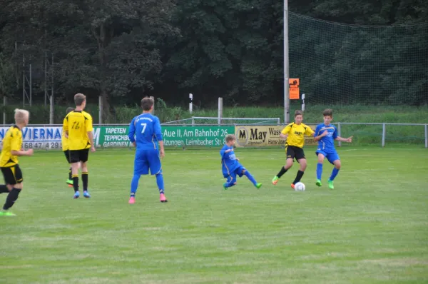 30.08.2017 SG Steinbach-Viernau vs. VfL Meiningen 1904