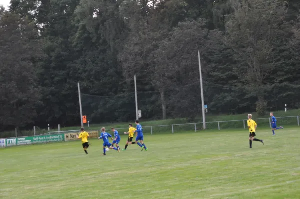30.08.2017 SG Steinbach-Viernau vs. VfL Meiningen 1904